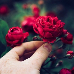 Зенфира Исматуллаева-Джалилова, 14.10.1988, Волгоград