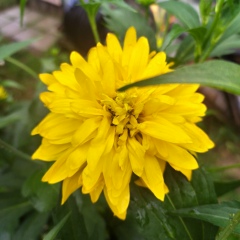 Юлия Май, 18.07.1982, Екатеринбург