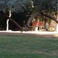 Askar Kozhalakov, 15.06.1990, Алматы