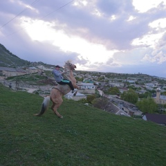 Ашурлав Магомедов, Махачкала