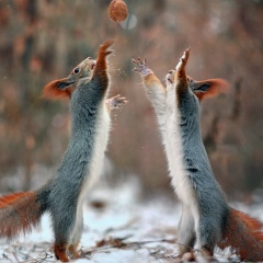 Дарья Вороновская, 25.12