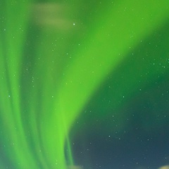 Кайрат Даутбаев, 08.04.1986, Алматы