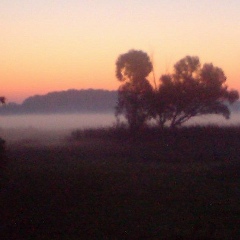 Агро Платформа, 30.03, Козелец