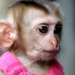 Юля Панкратьева, 23.09, Москва