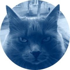 Евгений Стефанов, 28.07.1991, Новосибирск