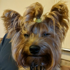 Дмитрий Соловьев, 25.11.1984, Киев