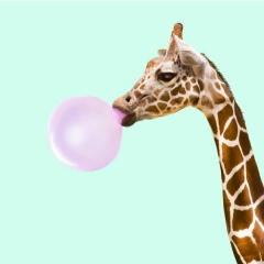 Елена Лопатина, 02.07