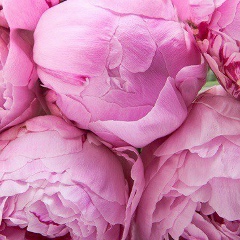 Акмарал Байбураева, 30.07.1985, Алматы