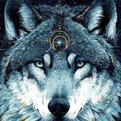 Юрий Шарипов, 12.10.1978, Москва