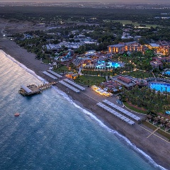 Анна Аня, Санкт-Петербург