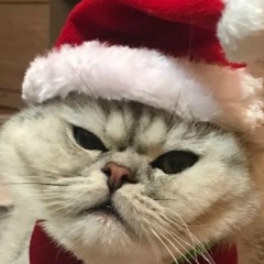 Андрей Осинин, 06.06, Санкт-Петербург