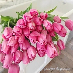 Лаура Албастова, 03.11.1996, Грозный