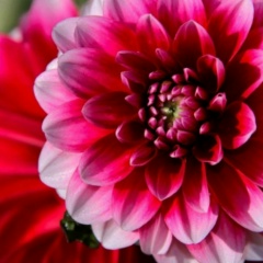 Наталья Пономарева, 29.12.1988, Омск