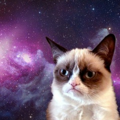 Антон Смолов, 03.11, Санкт-Петербург