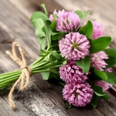 Анна Рицкая, Мурманск