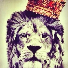 Халид Юсуев, 08.08.1998, Грозный