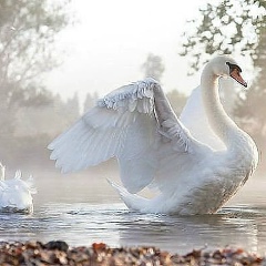Ляззат Акпарова, 01.04.1977, Тараз