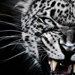 Андрей Русский, Вилючинск