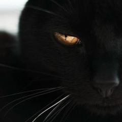 Малика Утепбергенова, Алматы