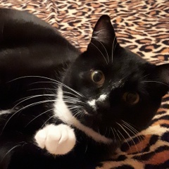 Алена Пугачева-Шикина, 29.09, Москва