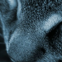 Анастасия Сергеева, 08.07