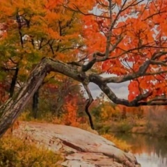 Зарина Дусмухаметова, 22.08, Москва