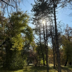 Асет Онгарбаев, 23.03