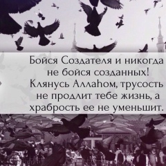 Мансур Исмаилов, 26.09.1993, Грозный