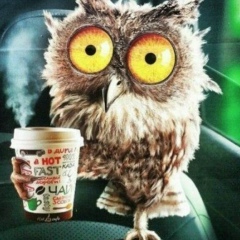 Алексей Олейник, 05.05, Киев