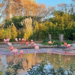 Женечка Рыбкина, 17.07, Санкт-Петербург