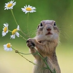 Валерия Глушкова, 12.06.1987, Москва