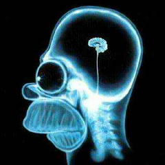 Адиль Файзулин, 10.12.1997, Санкт-Петербург