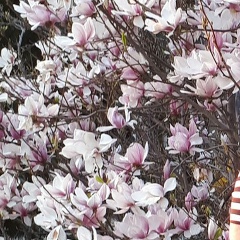 Наталья Ковалева, 25.01