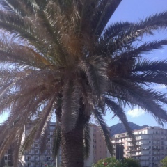 Алексей Налисный, 09.12.1982, Стаси