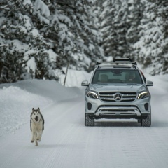 Игорь Кочевников, 08.01, Бишкек