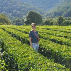 Елена Лысанова, Санкт-Петербург