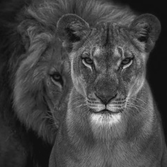 Карина Алтышова, 12.10, Москва