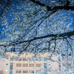 Ельнара Кайкенова, 22.03.1995