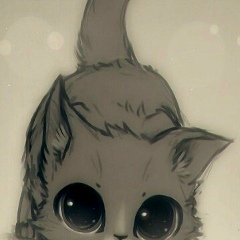 Полина Кононенко, 25.05, Гомель