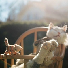 Ольга Кокшагина, 10.08