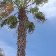 Яна Шатрова, 13.11, Москва