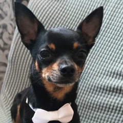 Олег Нагов, 20.11, Санкт-Петербург