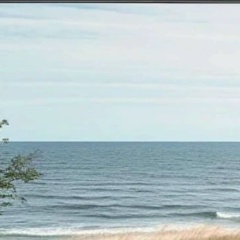 Анна Черткоева, 28.10, Владикавказ