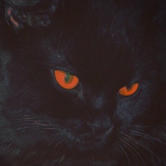 Семён Краснов, 04.02.1998, Волгоград