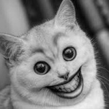 Валерий Сократов, 10.08.1981