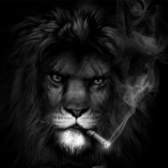 Ilyas Zhuma, Экибастуз