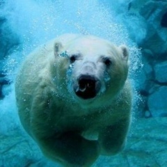 Олжас Сатали, 10.07