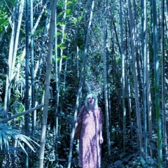 Оля Прокольчева, Калининград