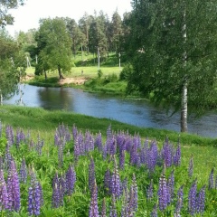 Дарья Чинарёва, 16.04
