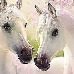 Бактыгуль Турсунбекова, 02.12.1988, Ош